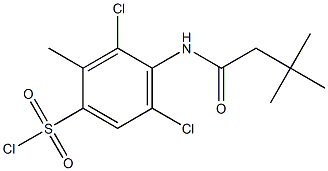 3,5-dichloro-4-(3,3-dimethylbutanamido)-2-methylbenzene-1-sulfonyl chloride Struktur