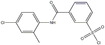 3-[(4-chloro-2-methylphenyl)carbamoyl]benzene-1-sulfonyl chloride Struktur