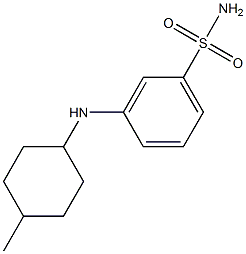 3-[(4-methylcyclohexyl)amino]benzene-1-sulfonamide Struktur