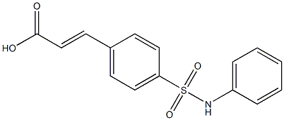 3-[4-(phenylsulfamoyl)phenyl]prop-2-enoic acid Struktur