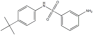 3-amino-N-(4-tert-butylphenyl)benzene-1-sulfonamide Struktur