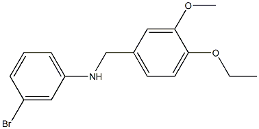 3-bromo-N-[(4-ethoxy-3-methoxyphenyl)methyl]aniline Struktur