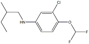 3-chloro-4-(difluoromethoxy)-N-(2-methylbutyl)aniline Struktur