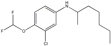 3-chloro-4-(difluoromethoxy)-N-(heptan-2-yl)aniline Struktur