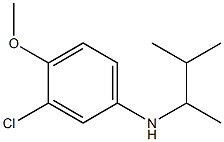 3-chloro-4-methoxy-N-(3-methylbutan-2-yl)aniline Struktur