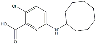 3-chloro-6-(cyclooctylamino)pyridine-2-carboxylic acid Struktur