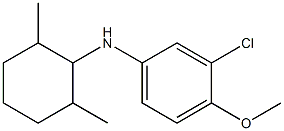 3-chloro-N-(2,6-dimethylcyclohexyl)-4-methoxyaniline Struktur