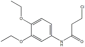 3-chloro-N-(3,4-diethoxyphenyl)propanamide Struktur