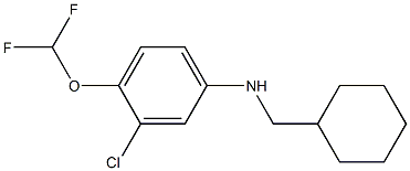 3-chloro-N-(cyclohexylmethyl)-4-(difluoromethoxy)aniline Struktur