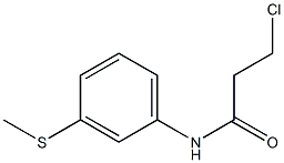 3-chloro-N-[3-(methylsulfanyl)phenyl]propanamide Struktur