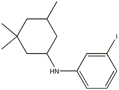 3-iodo-N-(3,3,5-trimethylcyclohexyl)aniline Struktur