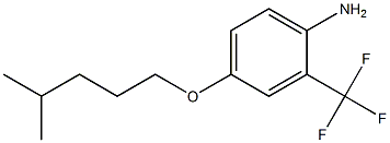 4-[(4-methylpentyl)oxy]-2-(trifluoromethyl)aniline Struktur