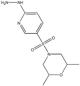 4-[(6-hydrazinylpyridine-3-)sulfonyl]-2,6-dimethylmorpholine Struktur