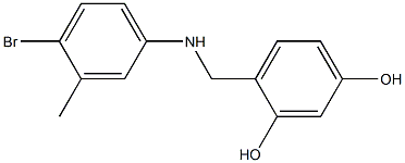 4-{[(4-bromo-3-methylphenyl)amino]methyl}benzene-1,3-diol Struktur