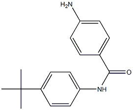 4-amino-N-(4-tert-butylphenyl)benzamide Struktur