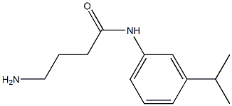 4-amino-N-[3-(propan-2-yl)phenyl]butanamide Struktur