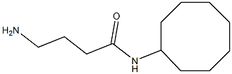 4-amino-N-cyclooctylbutanamide Struktur