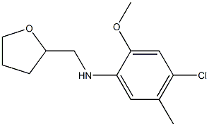 4-chloro-2-methoxy-5-methyl-N-(oxolan-2-ylmethyl)aniline Struktur