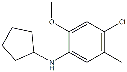 4-chloro-N-cyclopentyl-2-methoxy-5-methylaniline Struktur