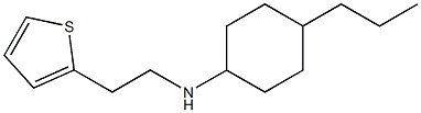 4-propyl-N-[2-(thiophen-2-yl)ethyl]cyclohexan-1-amine Struktur