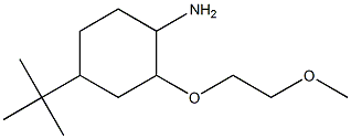 4-tert-butyl-2-(2-methoxyethoxy)cyclohexan-1-amine Struktur