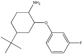 4-tert-butyl-2-(3-fluorophenoxy)cyclohexan-1-amine Struktur