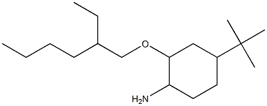 4-tert-butyl-2-[(2-ethylhexyl)oxy]cyclohexan-1-amine Struktur