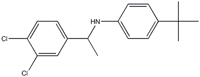 4-tert-butyl-N-[1-(3,4-dichlorophenyl)ethyl]aniline Struktur