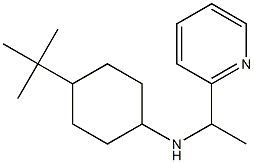 4-tert-butyl-N-[1-(pyridin-2-yl)ethyl]cyclohexan-1-amine Struktur