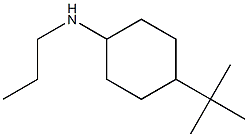 4-tert-butyl-N-propylcyclohexan-1-amine Struktur