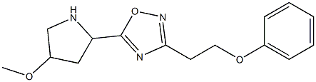 5-(4-methoxypyrrolidin-2-yl)-3-(2-phenoxyethyl)-1,2,4-oxadiazole Struktur