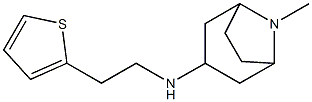 8-methyl-N-[2-(thiophen-2-yl)ethyl]-8-azabicyclo[3.2.1]octan-3-amine Struktur