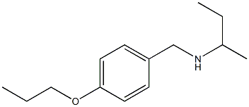 butan-2-yl[(4-propoxyphenyl)methyl]amine Struktur