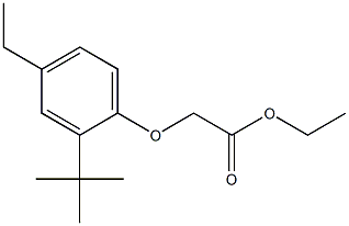 ethyl 2-(2-tert-butyl-4-ethylphenoxy)acetate Struktur