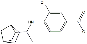 N-(1-{bicyclo[2.2.1]heptan-2-yl}ethyl)-2-chloro-4-nitroaniline Struktur