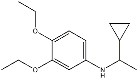 N-(1-cyclopropylethyl)-3,4-diethoxyaniline Struktur