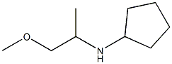 N-(1-methoxypropan-2-yl)cyclopentanamine Struktur