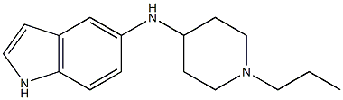 N-(1-propylpiperidin-4-yl)-1H-indol-5-amine Struktur