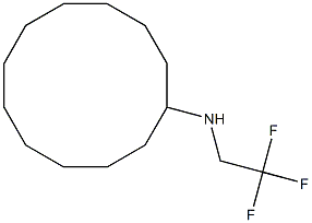 N-(2,2,2-trifluoroethyl)cyclododecanamine Struktur