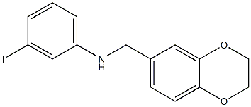 N-(2,3-dihydro-1,4-benzodioxin-6-ylmethyl)-3-iodoaniline Struktur