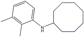 N-(2,3-dimethylphenyl)cyclooctanamine Struktur