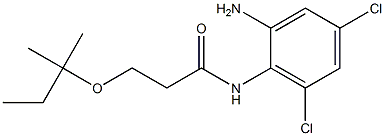 N-(2-amino-4,6-dichlorophenyl)-3-[(2-methylbutan-2-yl)oxy]propanamide Struktur