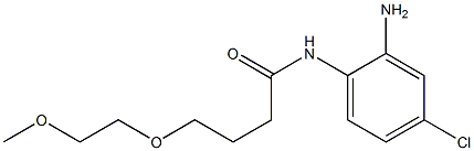 N-(2-amino-4-chlorophenyl)-4-(2-methoxyethoxy)butanamide Struktur