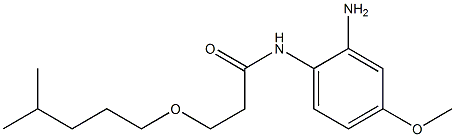 N-(2-amino-4-methoxyphenyl)-3-[(4-methylpentyl)oxy]propanamide Struktur