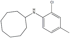 N-(2-chloro-4-methylphenyl)cyclooctanamine Struktur