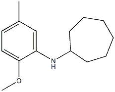 N-(2-methoxy-5-methylphenyl)cycloheptanamine Struktur