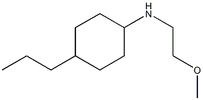 N-(2-methoxyethyl)-4-propylcyclohexan-1-amine Struktur