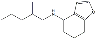 N-(2-methylpentyl)-4,5,6,7-tetrahydro-1-benzofuran-4-amine Struktur