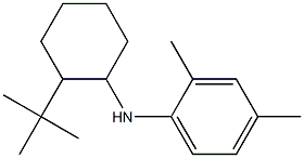 N-(2-tert-butylcyclohexyl)-2,4-dimethylaniline Struktur