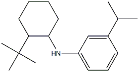 N-(2-tert-butylcyclohexyl)-3-(propan-2-yl)aniline Struktur